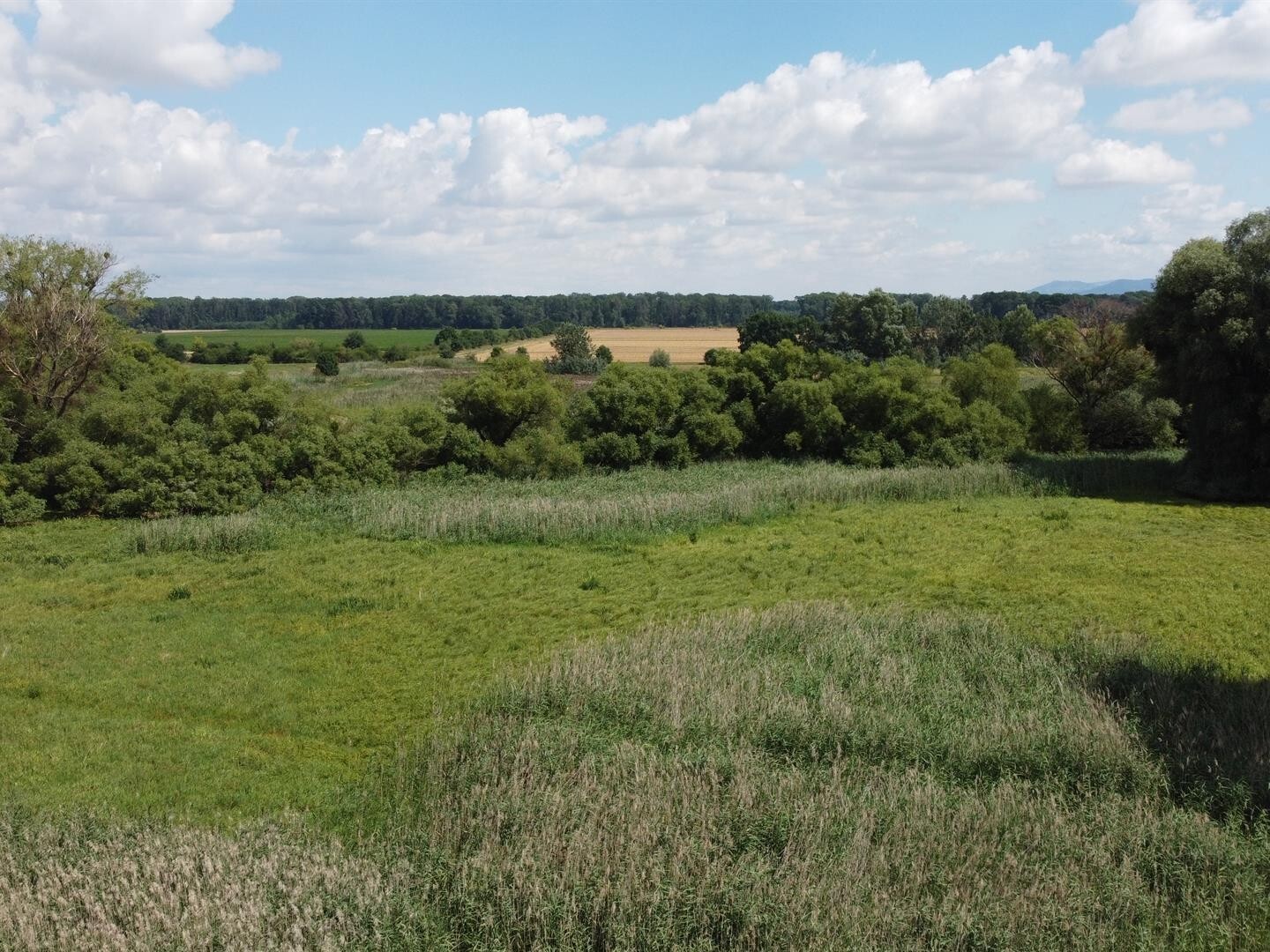 Pozemek o velikosti 2388m2, Střížovice u Kvasic