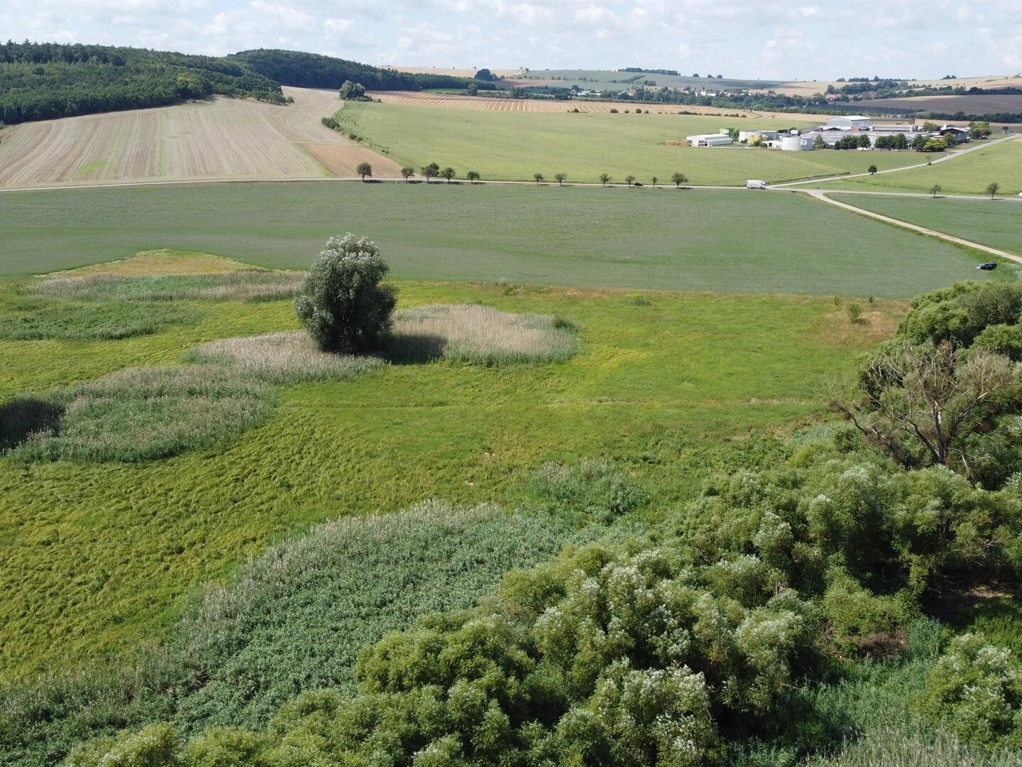Pozemek o velikosti 2388m2, Střížovice u Kvasic