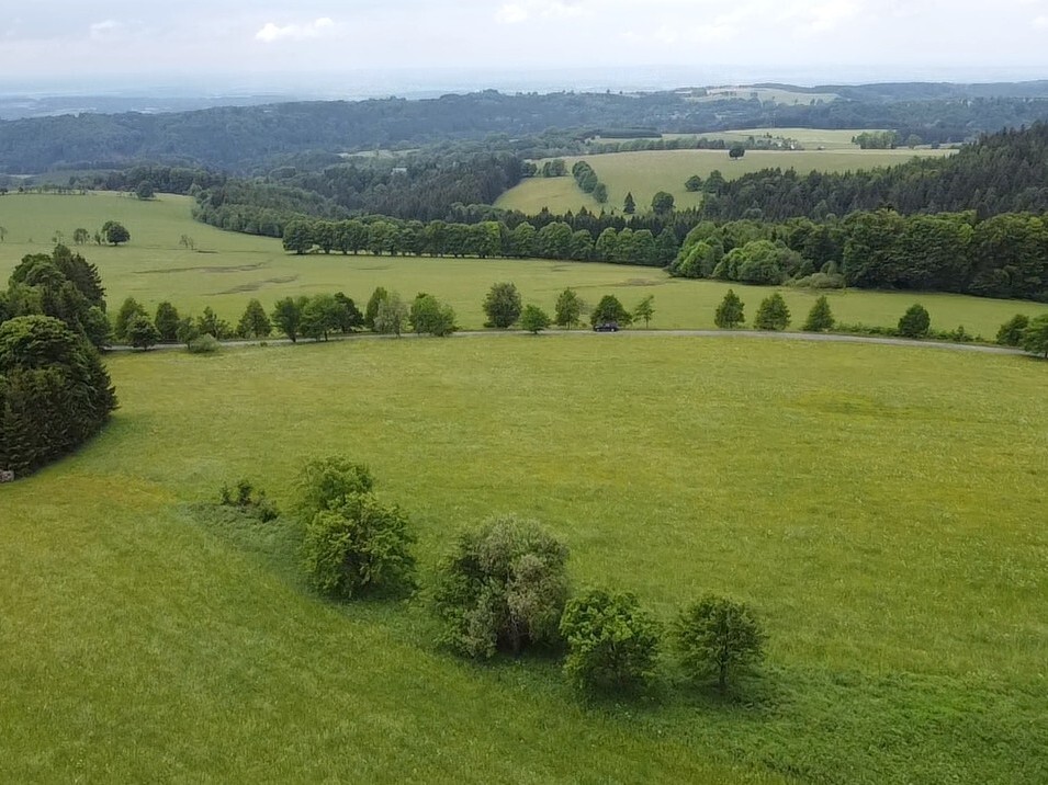 Pozemek o velikosti 1426m2, Říčky v Orlických horách