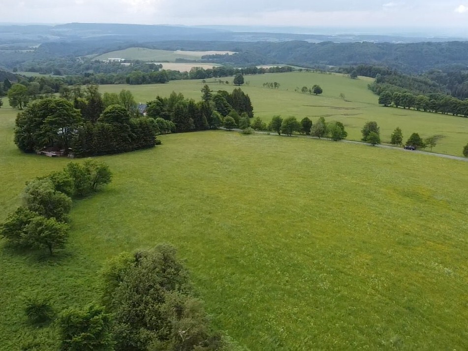 Pozemek o velikosti 1426m2, Říčky v Orlických horách