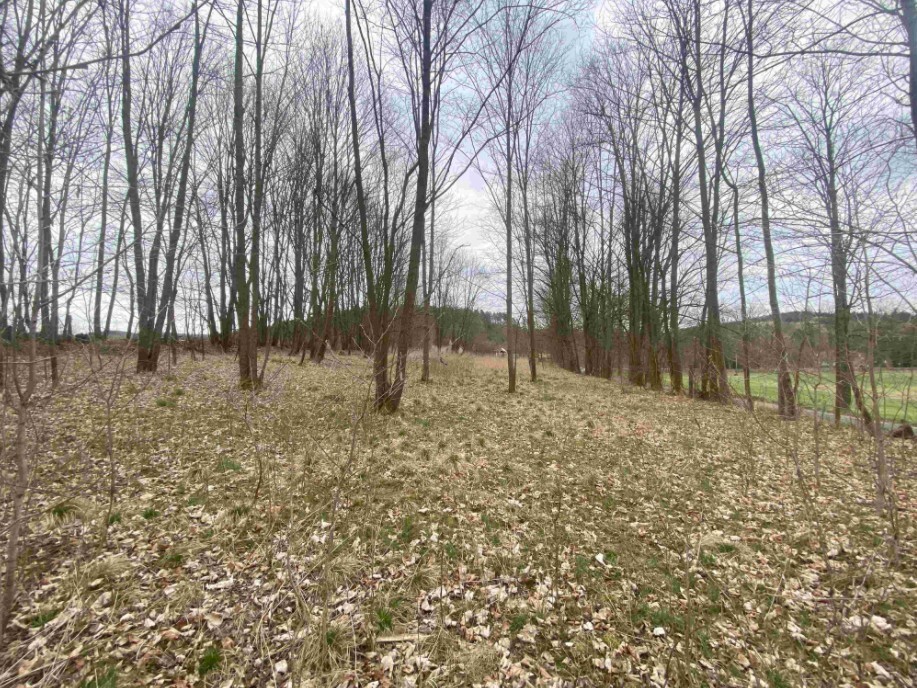 Pozemek o velikosti 4100m2, Žinkovy