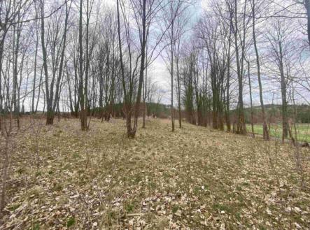 Prodej - pozemek, trvalý travní porost, 4 100 m²