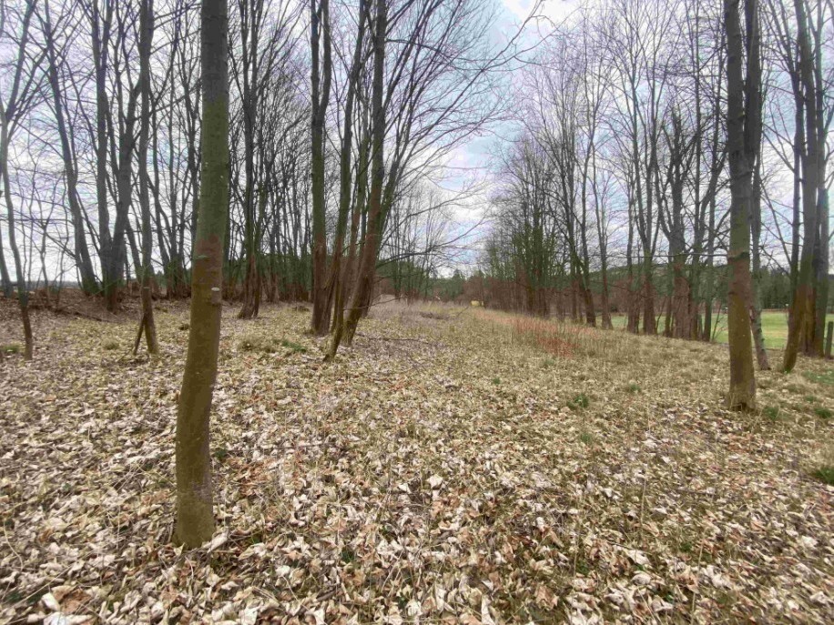 Pozemek o velikosti 4100m2, Žinkovy