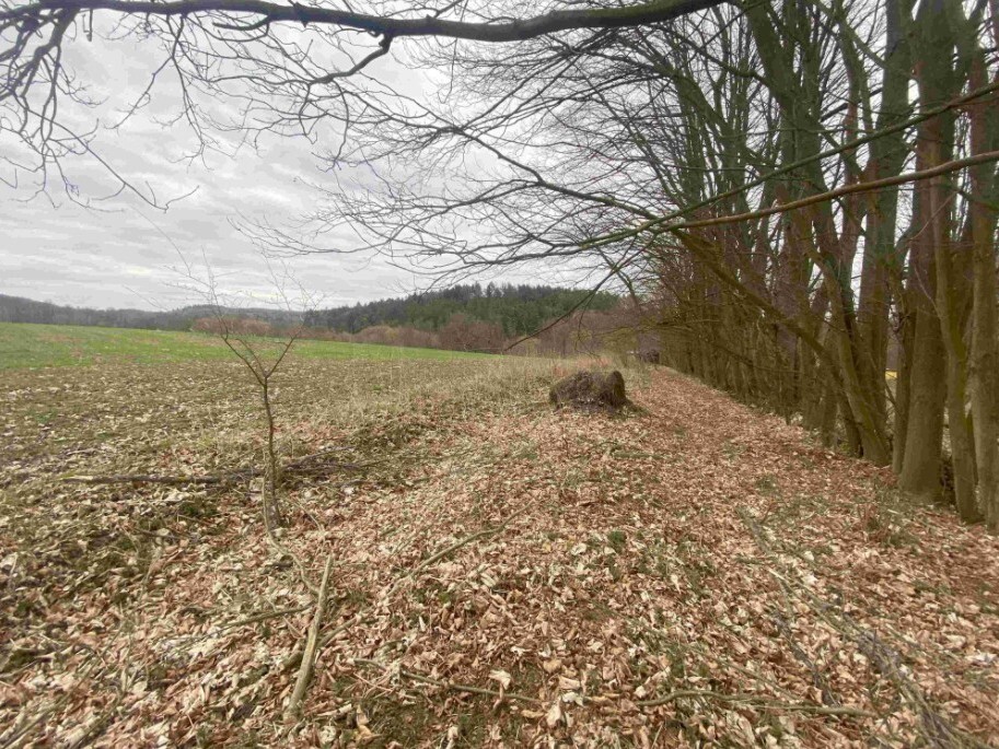 Pozemek o velikosti 4100m2, Žinkovy