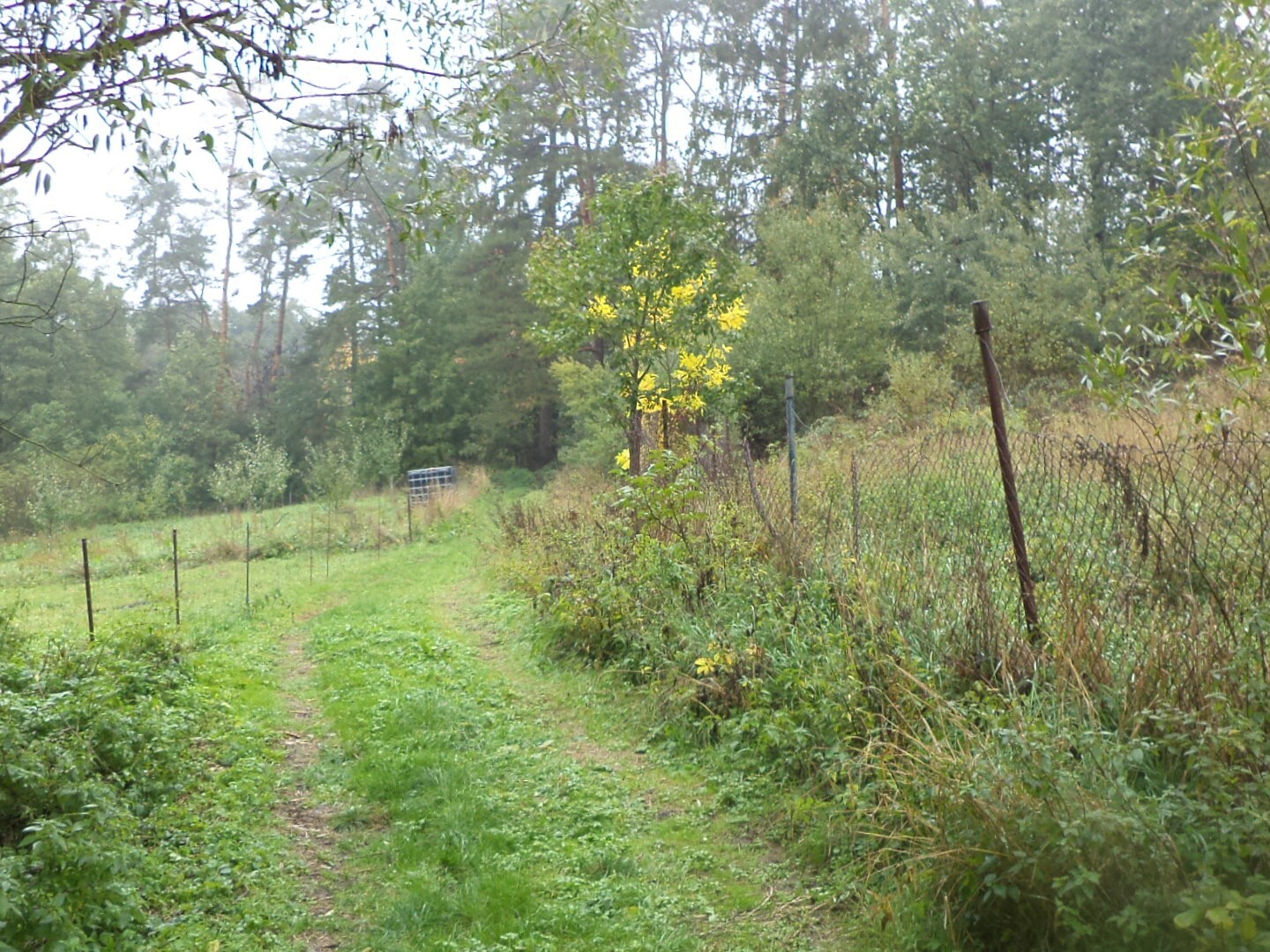 Pozemek o velikosti 986m2, Biskupice u Hrotovic