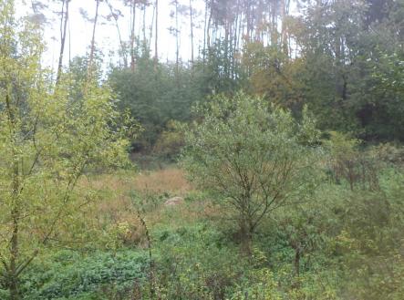 Prodej - pozemek, trvalý travní porost, 986 m²