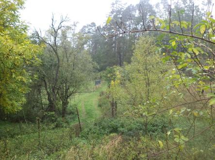 Prodej - pozemek, trvalý travní porost, 986 m²