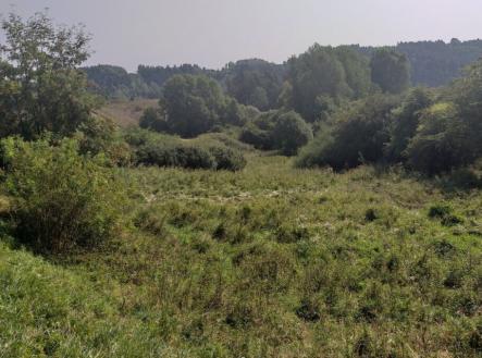 Prodej - pozemek, trvalý travní porost, 34 244 m²