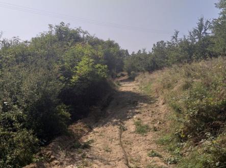 Prodej - pozemek, trvalý travní porost, 34 244 m²