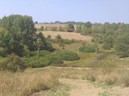 Prodej - pozemek, trvalý travní porost, 34 244 m²