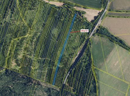 Prodej - pozemek, les, 6 750 m²