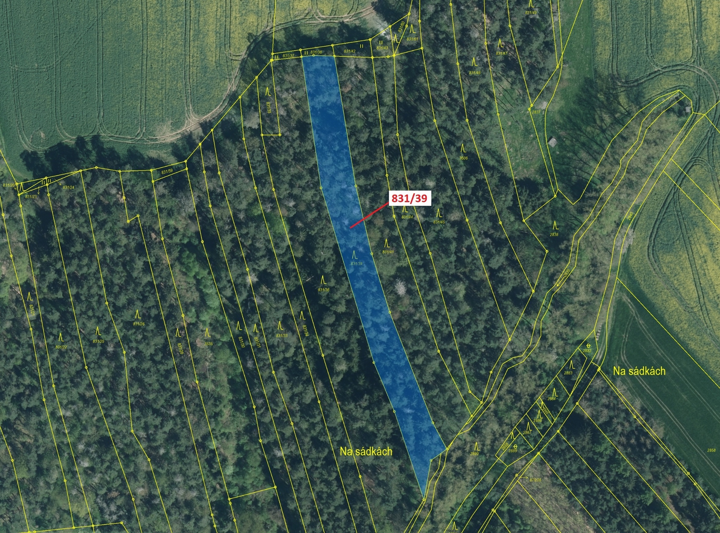 Lesní pozemek o výměře 3368 m2, podíl 1/1, katastrální území Koloveč, obec Koloveč, obec s rozšířeno