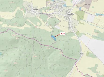 Prodej - pozemek, les, 3 251 m²