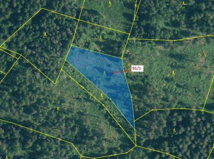 Prodej - pozemek, les, 3 251 m²
