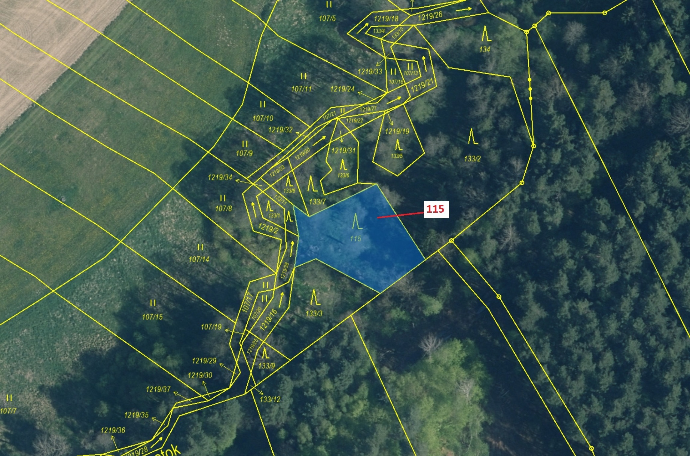 Lesní pozemek o výměře 590 m2, podíl 1/1, katastrální území Bukvice u Trhových Svinů, obec Trhové Sv