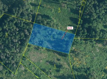 Prodej - pozemek, les, 1 958 m²