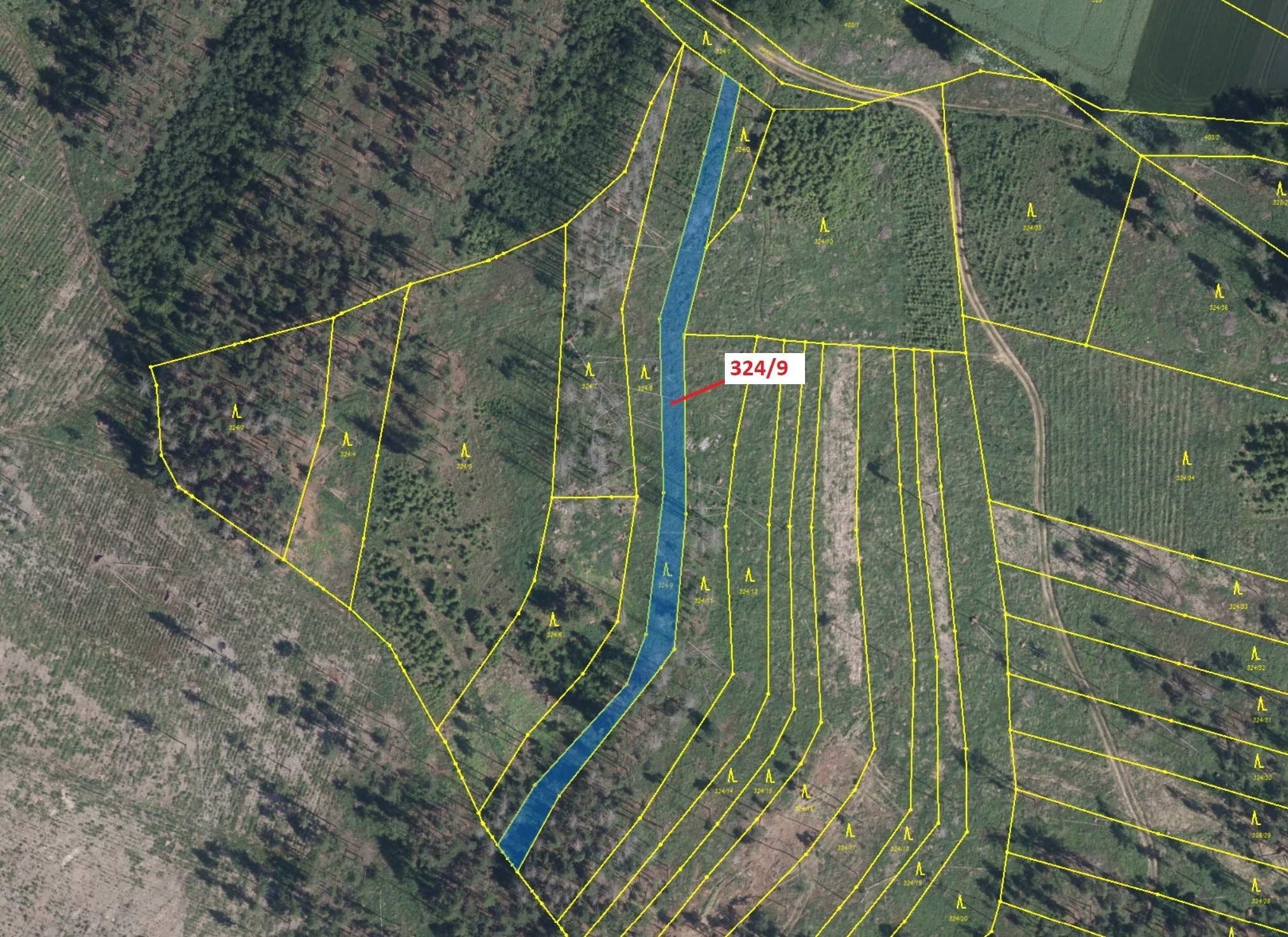 Lesní pozemek o výměře 1978 m2, podíl 1/1, katastrální území Chotěbudice, obec Chotěbudice, obec s r