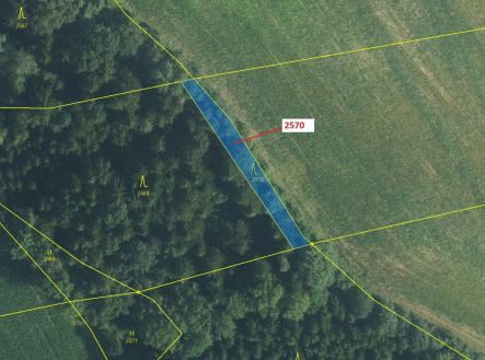 Prodej - pozemek, les, 447 m²