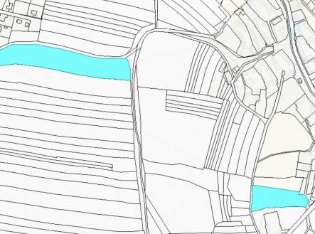 Prodej - pozemek, zemědělská půda, 21 598 m²