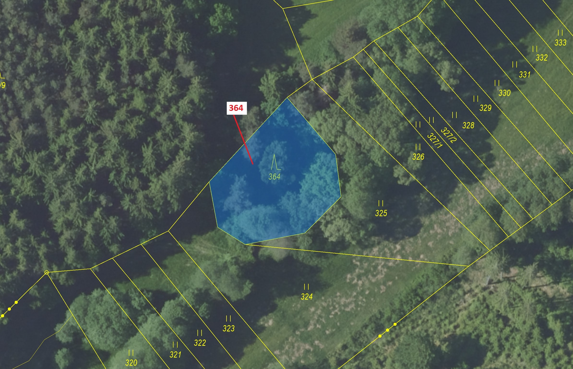 Lesní pozemek o výměře 838 m2, podíl 1/1, katastrální území Bolina, obec Vlašim, obec s rozšířenou p