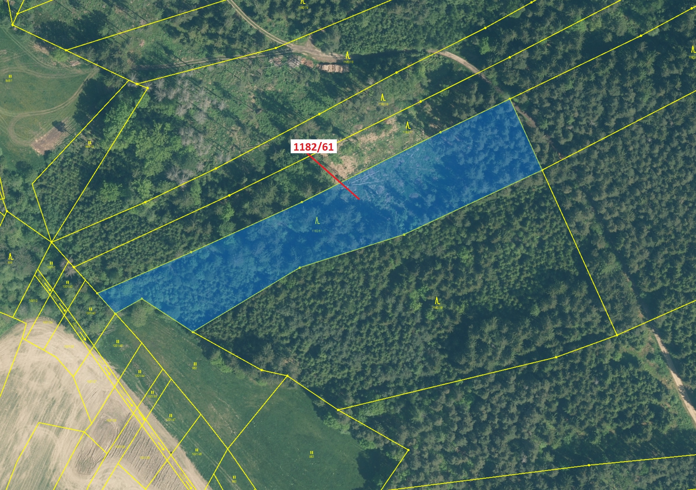 Lesní pozemek o výměře 11 119 m2, podíl 1/1, katastrální území Přeborov, obec Přeborov, obec s rozší