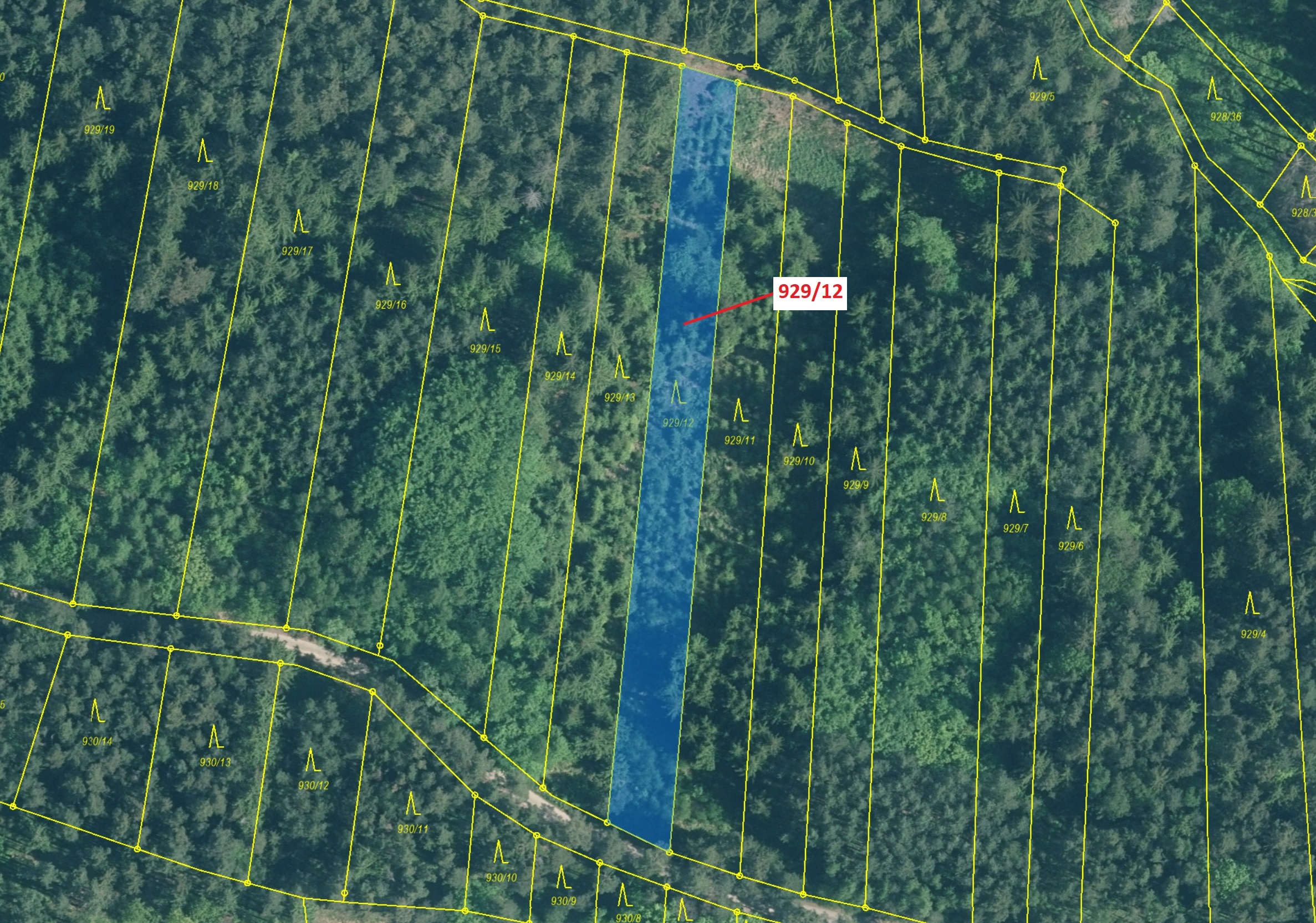 Lesní pozemek o výměře 1517 m2, podíl 1/1, katastrální území Hosty, obec Hosty, obec s rozšířenou pů