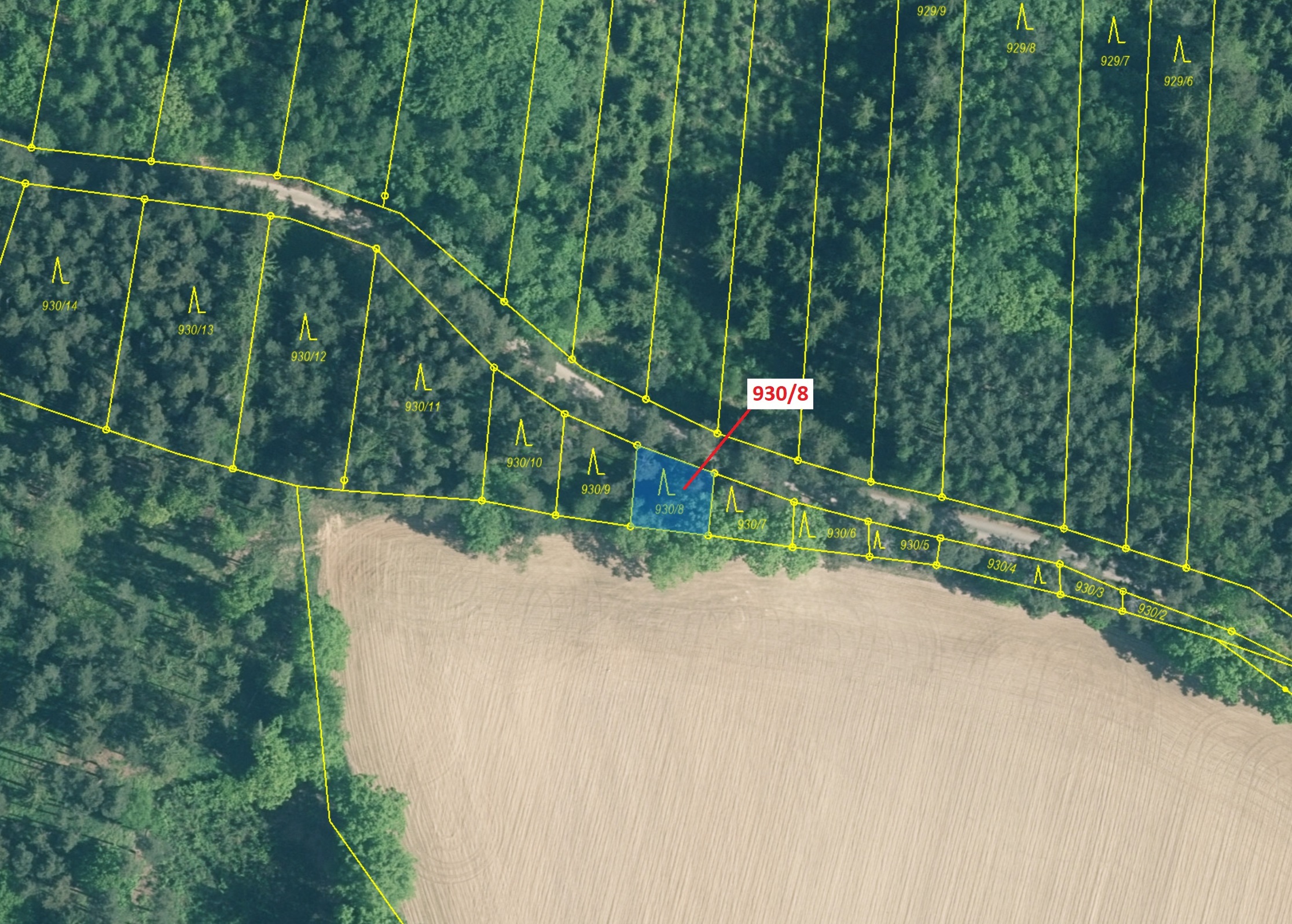 Lesní pozemek o výměře 140 m2, podíl 1/1, katastrální území Hosty, obec Hosty, obec s rozšířenou půs