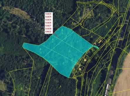 Prodej - pozemek, les, 11 294 m²