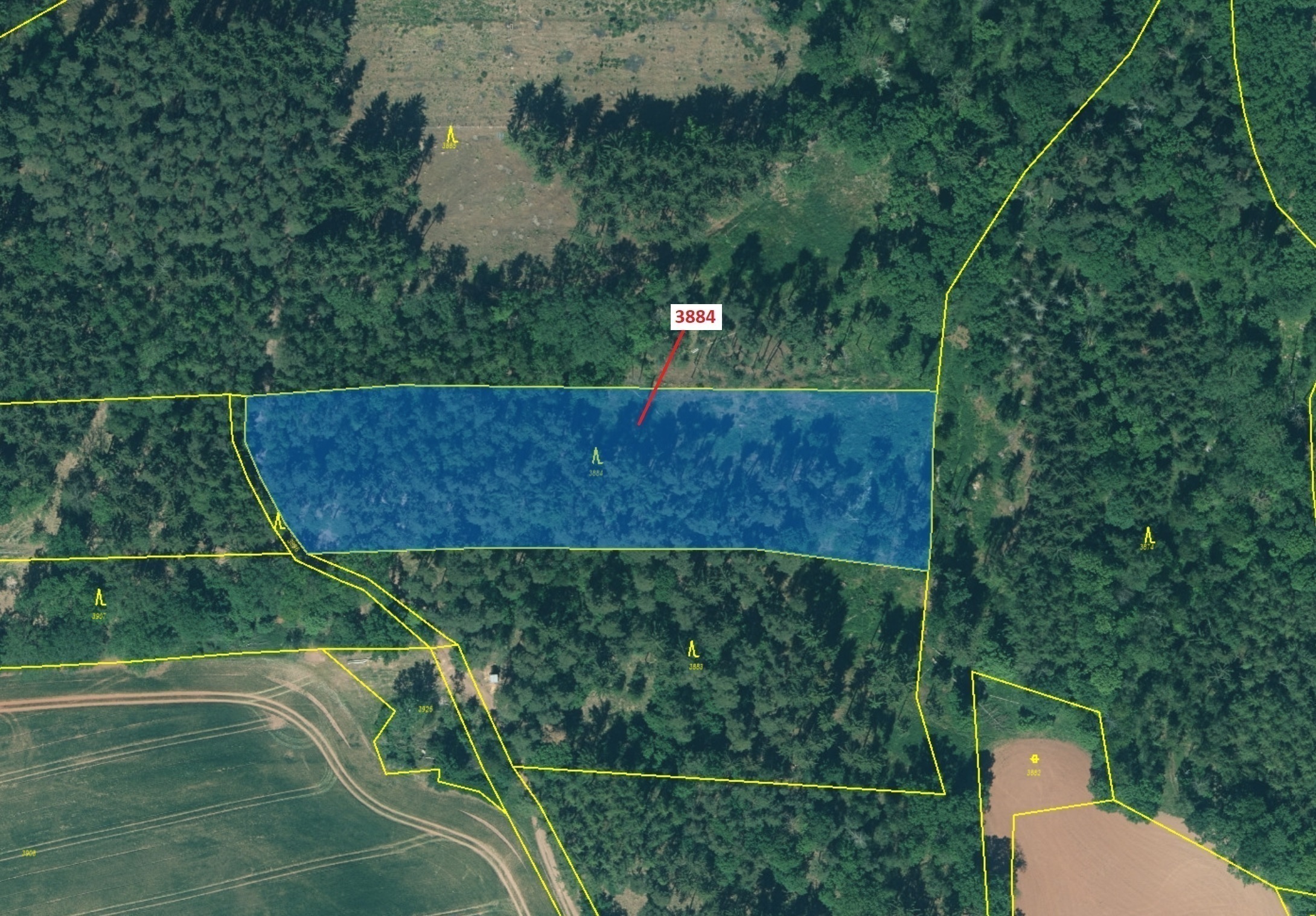 Lesní pozemek o výměře 7 695 m2, podíl 1/1, katastrální území Stebno u Petrohradu, obec Kryry, obec 