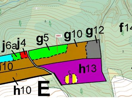 Prodej - pozemek, les, 7 695 m²