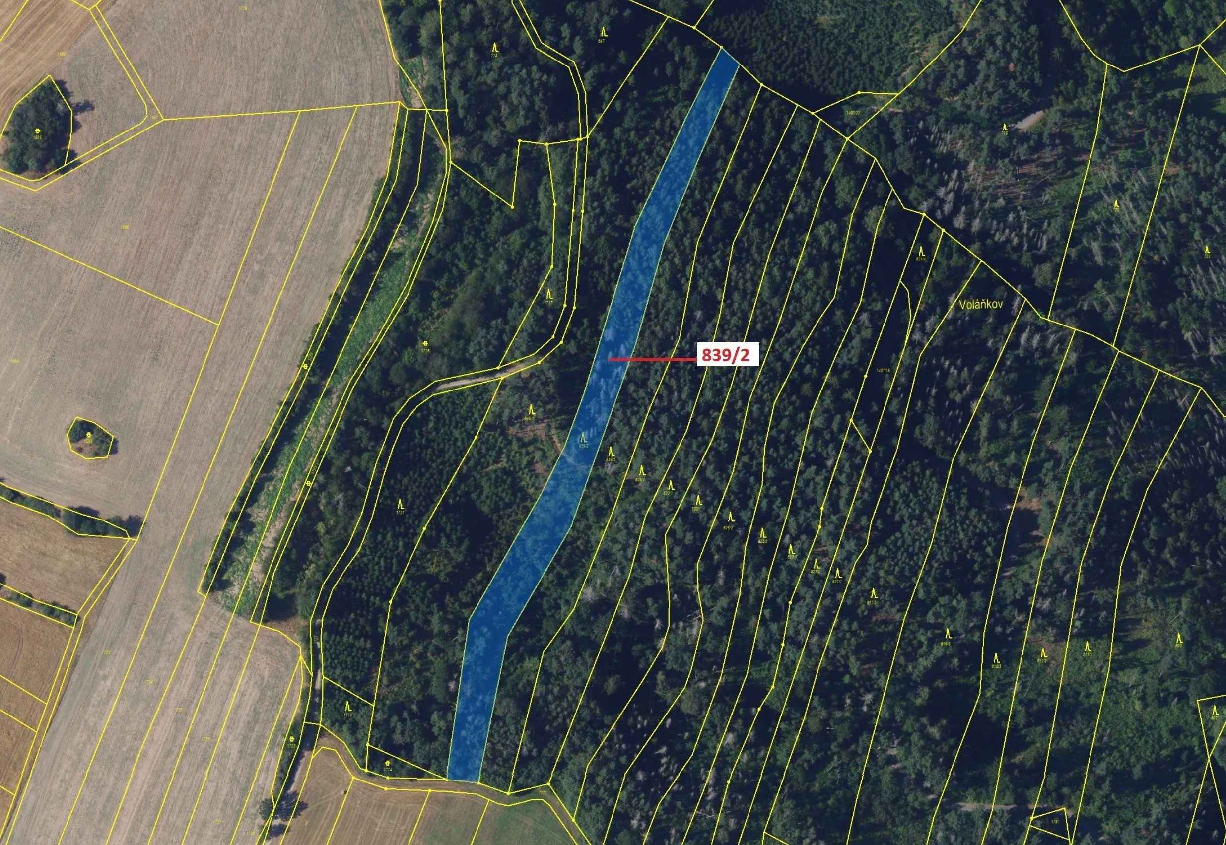 Lesní pozemek o výměře 5465 m2, podíl 1/1, katastrální území Žďárec, obec Žďárec, obec s rozšířenou 