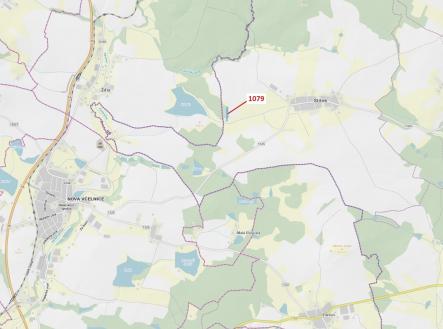 Prodej - pozemek, les, 5 041 m²