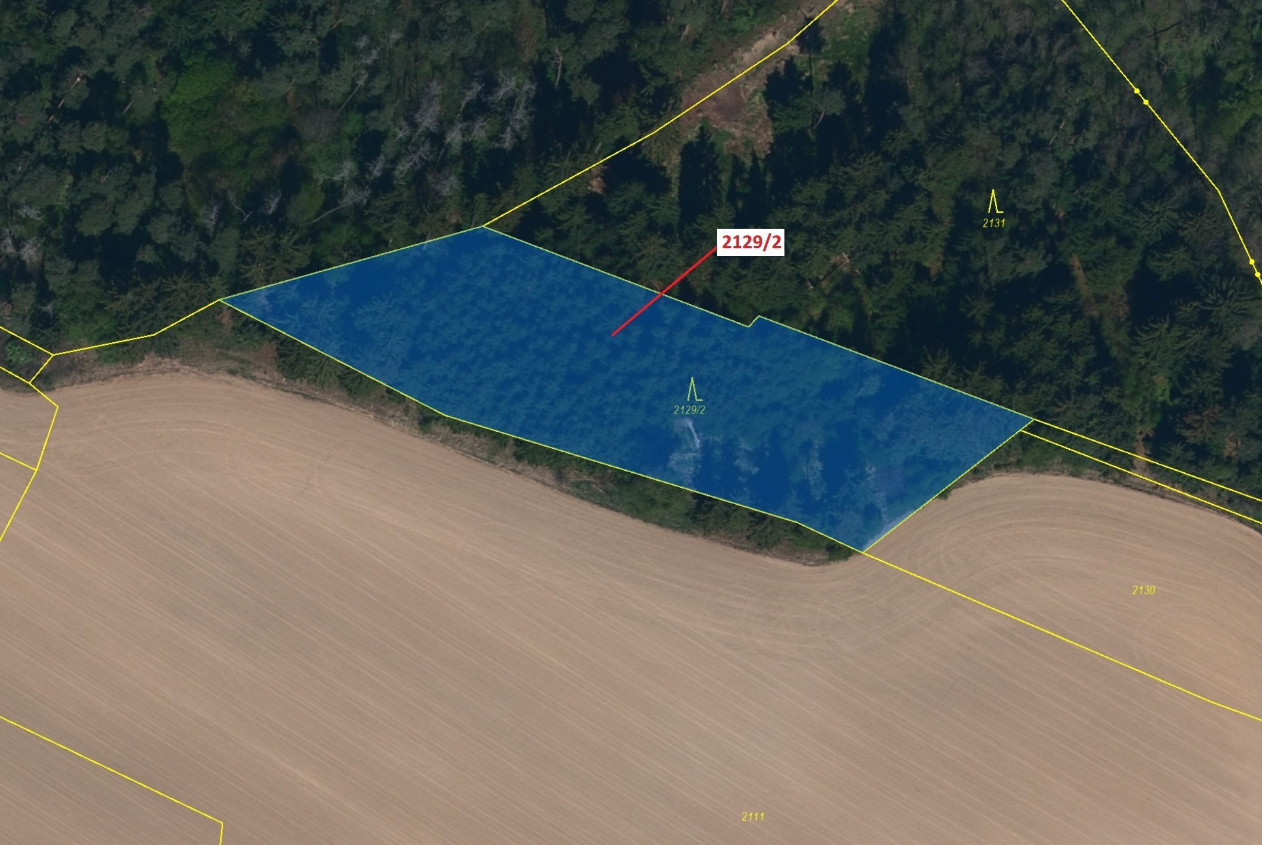 Lesní pozemek o výměře 3636 m2, podíl 1/1, katastrální území Štítné, obec Žirovnice, obec s rozšířen