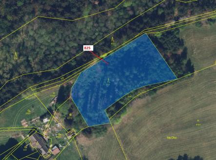 Prodej - pozemek, les, 4 071 m²