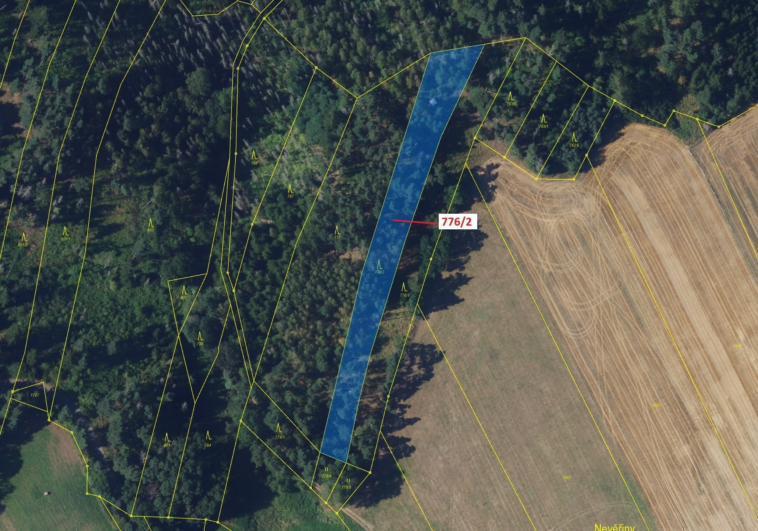 Lesní pozemek o výměře 3169 m2, podíl 1/1, katastrální území Žďárec, obec Žďárec, obec s rozšířenou 