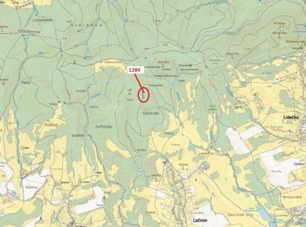 Prodej - pozemek, les, 3 805 m²