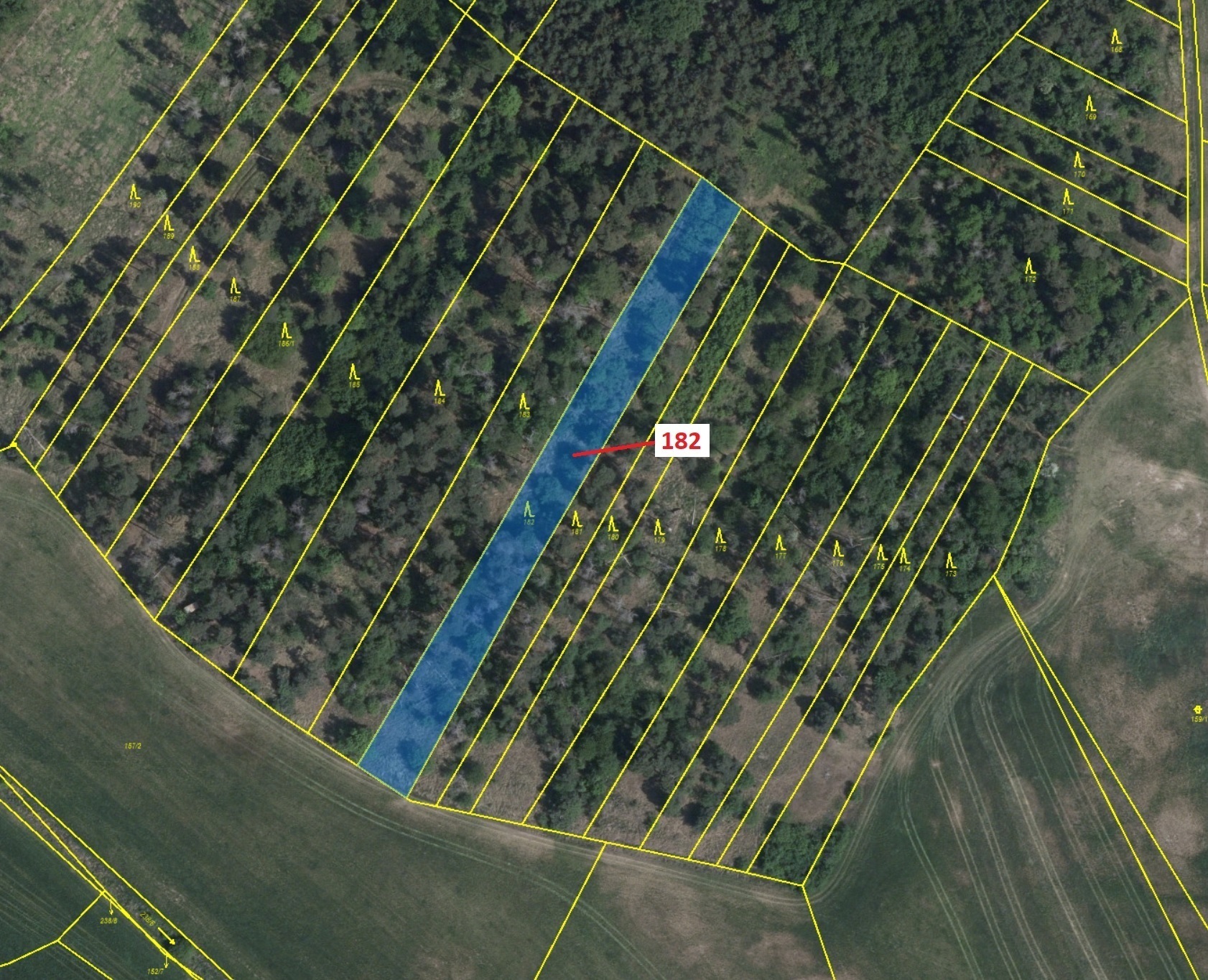 Lesní pozemek o výměře 2665 m2, podíl 1/1, katastrální území Klučov, obec Klučov, obec s rozšířenou 