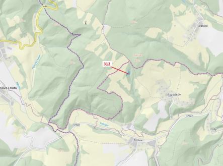 Prodej - pozemek, les, 2 554 m²