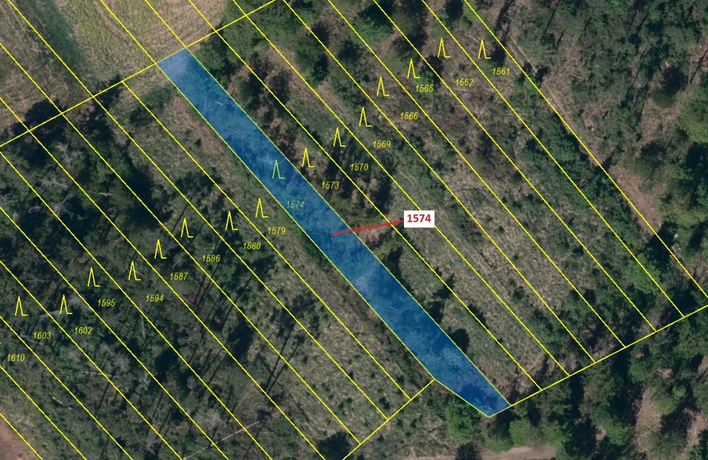 Lesní pozemek o výměře 885 m2, podíl 1/1, katastrální území Březník, obec Březník, obec s rozšířenou