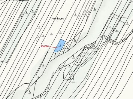 Prodej - pozemek, trvalý travní porost, 252 m²