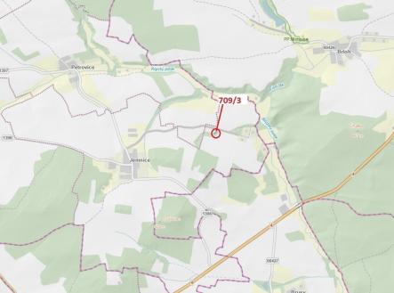 Prodej - pozemek, les, 301 m²