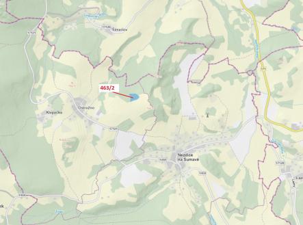 Prodej - pozemek, les, 10 638 m²