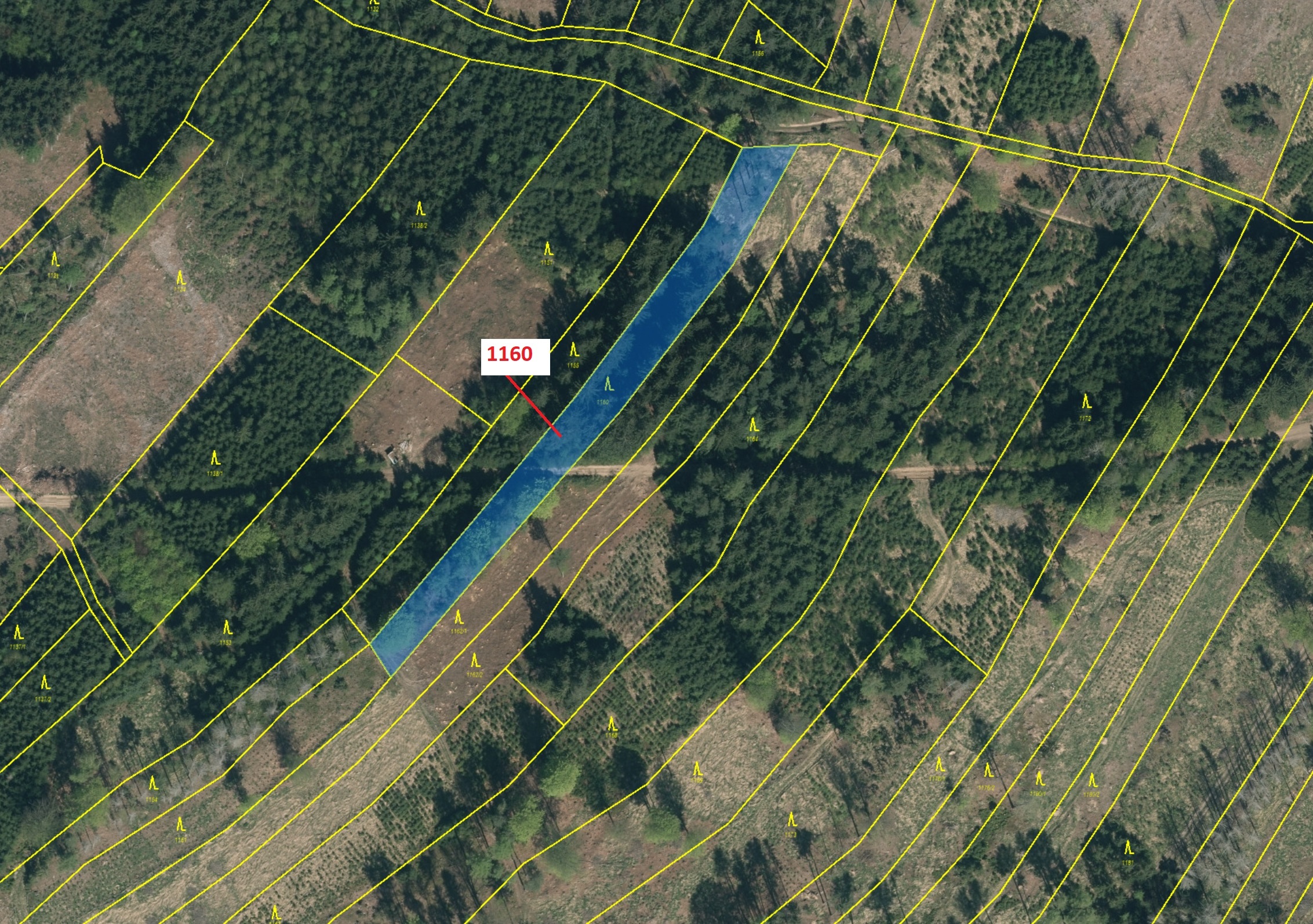 Lesní pozemek o výměře 2693 m2, podíl 1/1, katastrální území Vilice, obec Vilice, obec s rozšířenou 