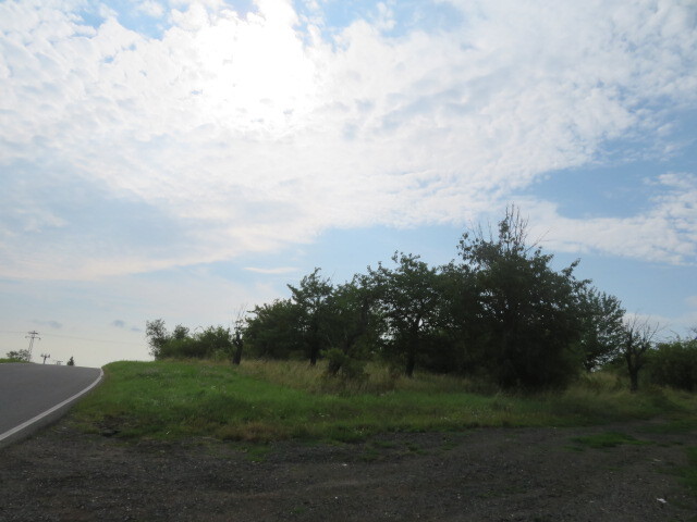 Ovocný sad 23 378 m2, Ploskovice