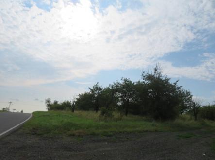 Prodej - pozemek, zahrada, 23 378 m²