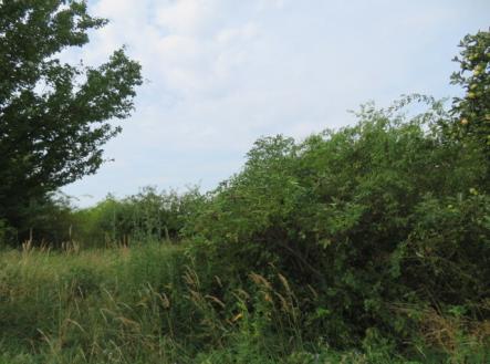 Prodej - pozemek, zahrada, 23 378 m²