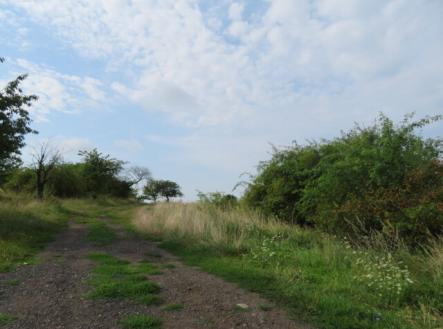 Prodej - pozemek, zahrada, 23 378 m²