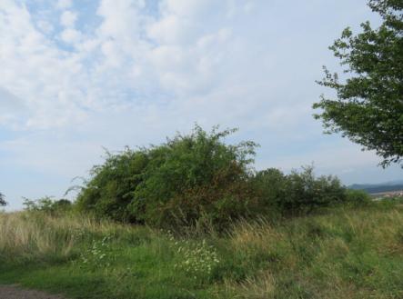 Prodej - pozemek, zahrada, 23 378 m²