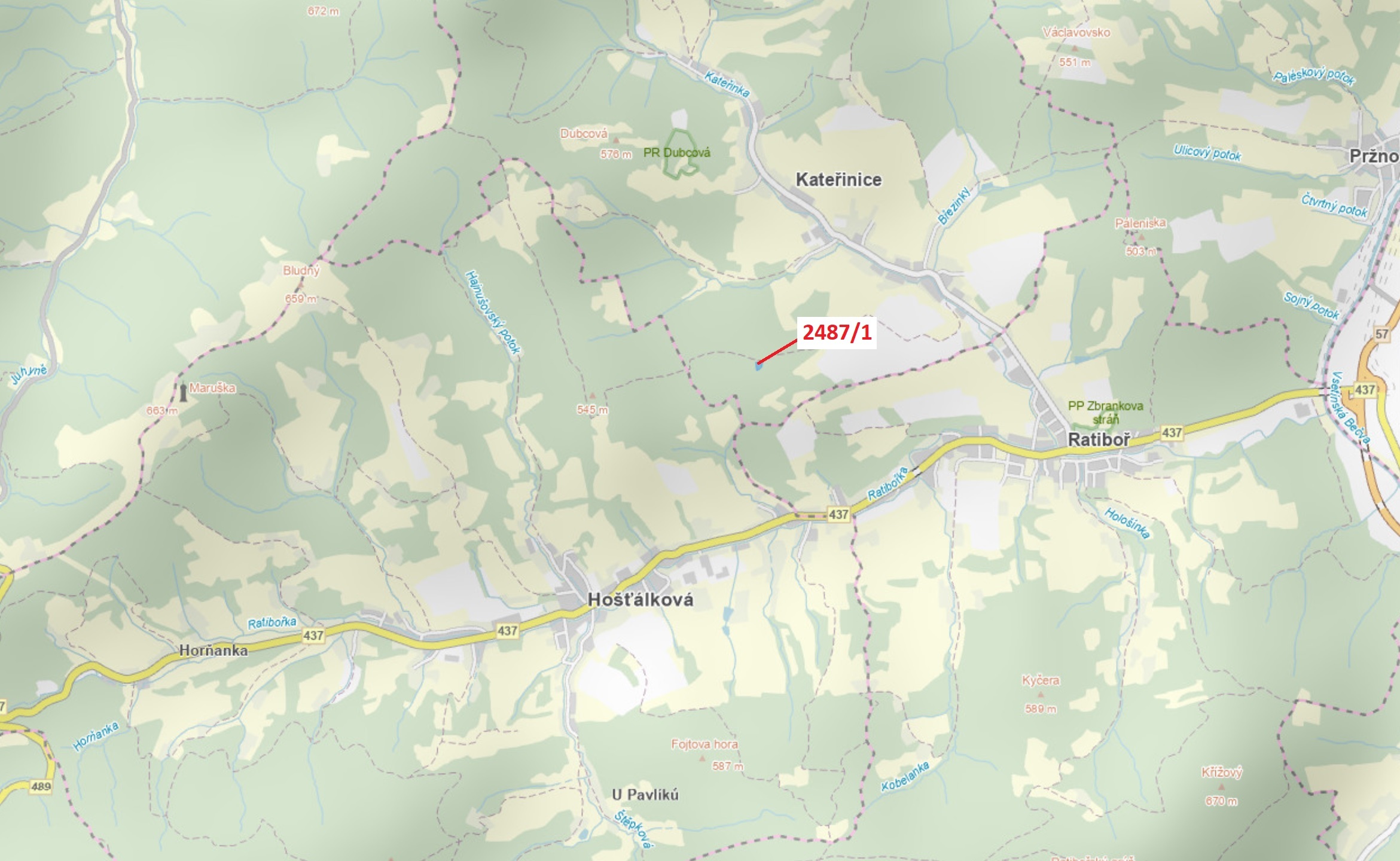 Lesní pozemek o výměře 2083 m2, podíl 1/1, katastrální území Kateřinice u Vsetína, obec Kateřinice, 