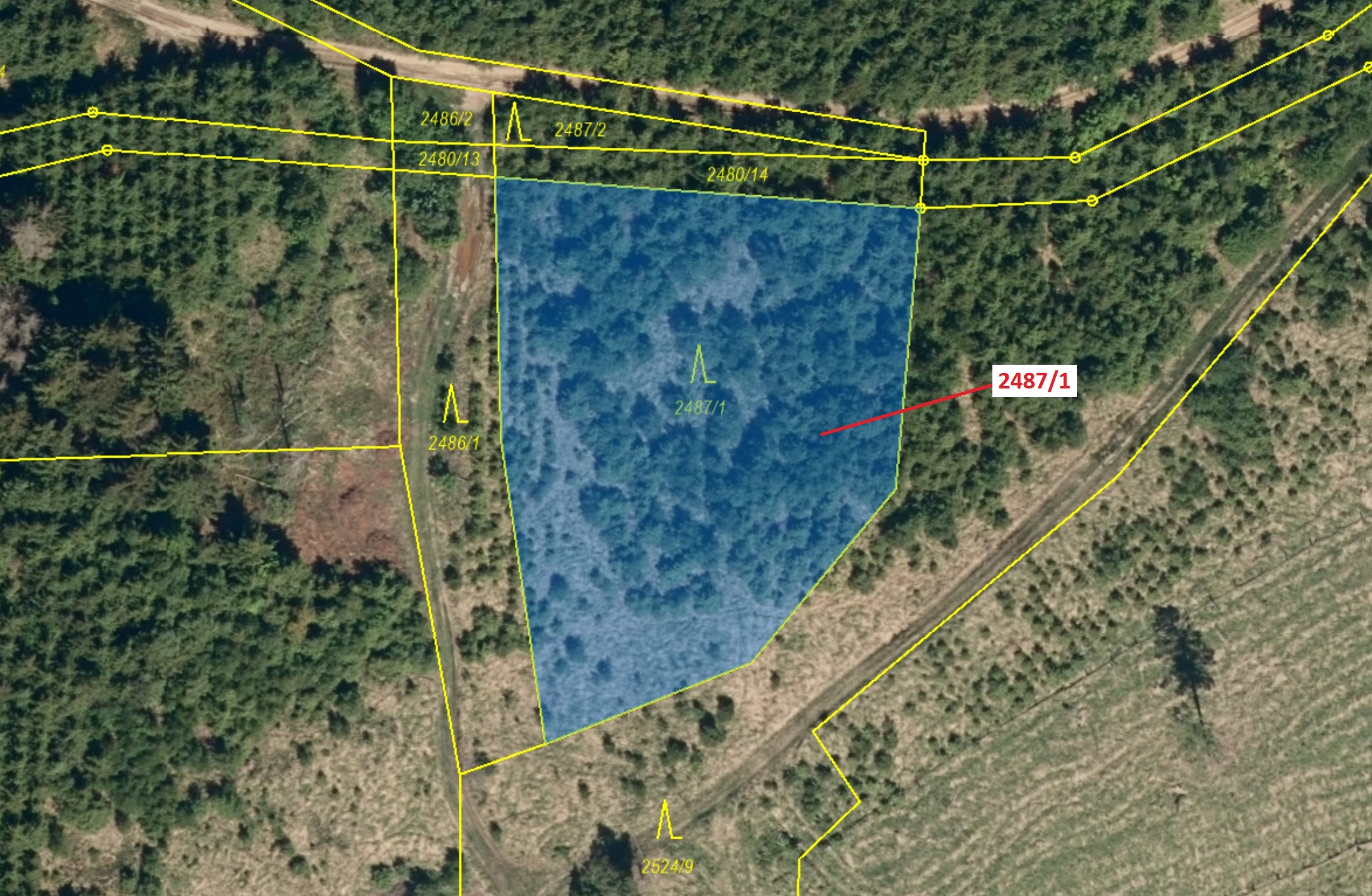 Lesní pozemek o výměře 2083 m2, podíl 1/1, katastrální území Kateřinice u Vsetína, obec Kateřinice, 